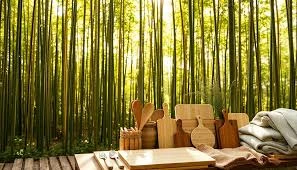 BambooProducts