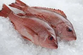Other prepared fish