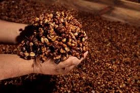 Chemically pure fructose