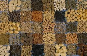 Sowing Seeds