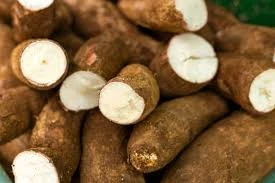 Starchy Roots