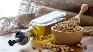 Soya Beans